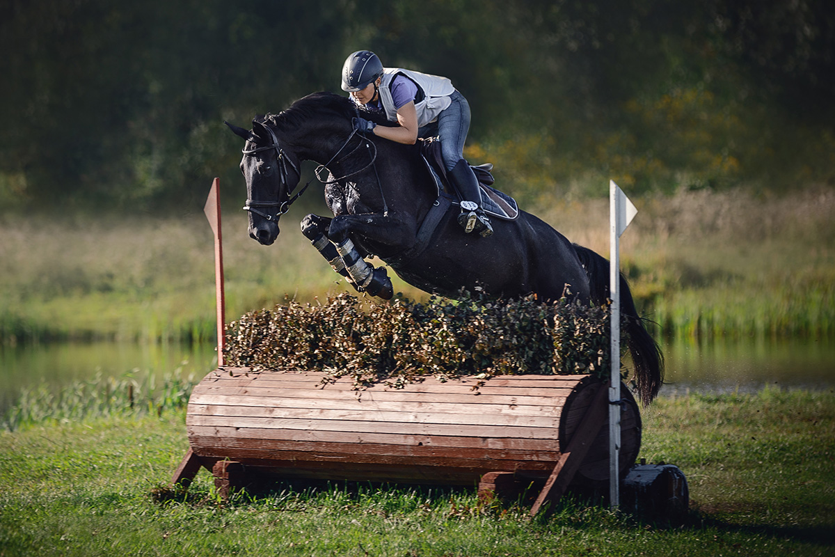 A Thoroughbred eventing