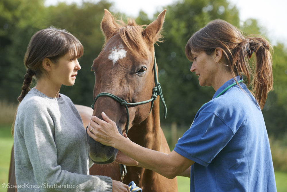 Horse and vet. Vet bills are a cost of horse ownership.