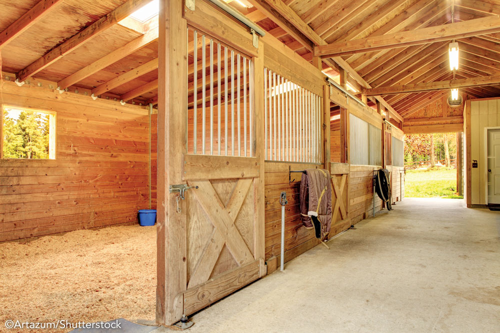 Interior of a horse barn